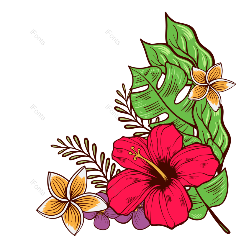 叶子图片,花卉元素,花草PNG,鲜花免抠素材